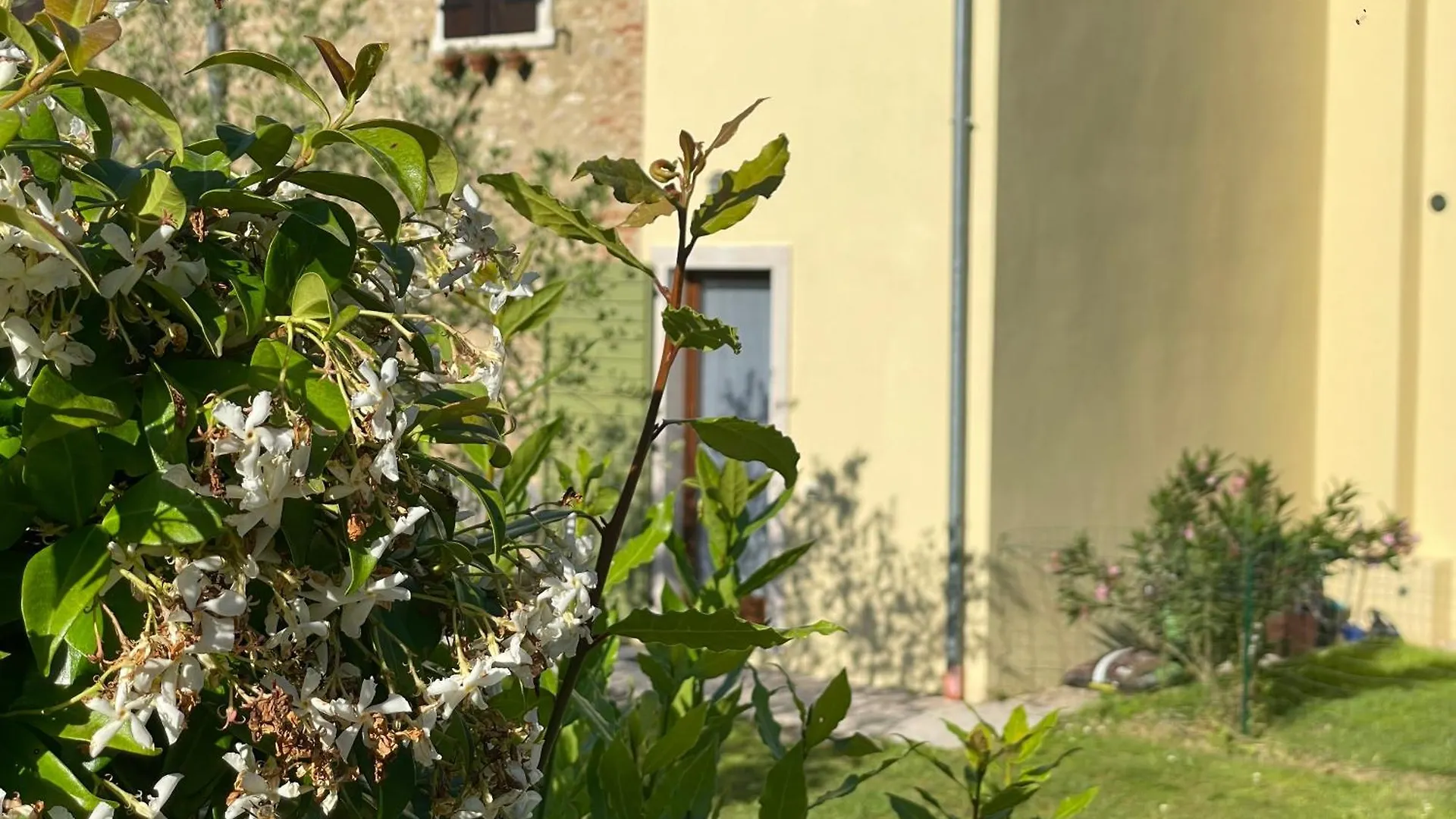 לאזיסה Casa Carlotte - Lago Di Garda איטליה